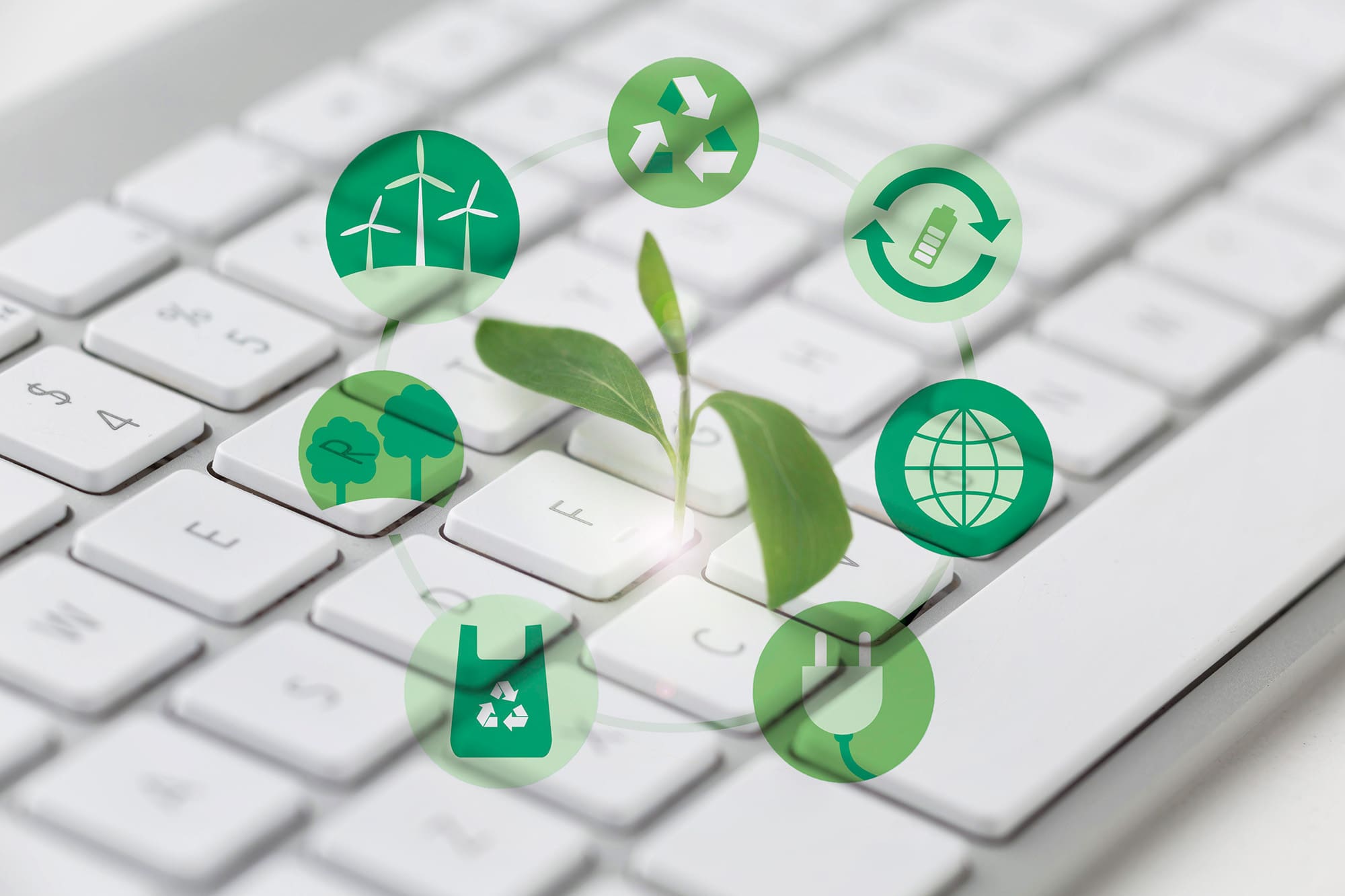 The Environmental Impact of Hosting